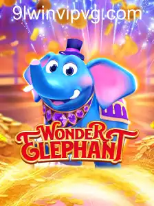 WonderElephant